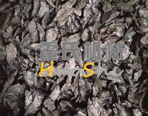 蒸女貞子、黃精體驗