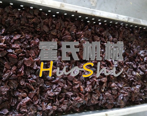 蒸女貞子、黃精體驗